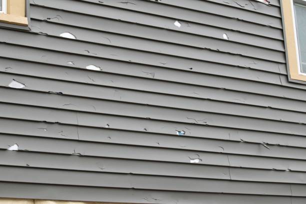 Best Siding for Multi-Family Homes  in Kingwood, WV