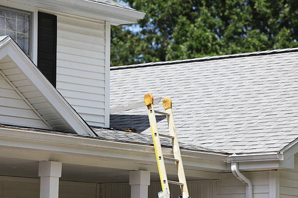 Best Siding Removal and Disposal  in Kingwood, WV